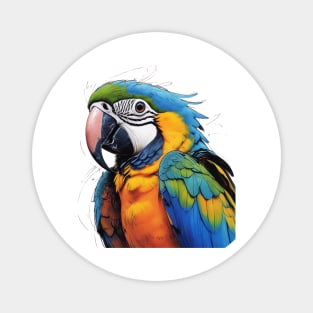 MACAW Magnet
